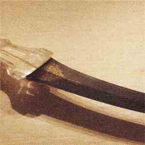 Secret Abuse - Ripeness download flac mp3