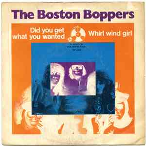The Boston Boppers - Did You Get What You Wanted download flac mp3