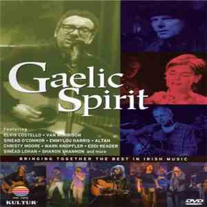 Various - Gaelic Spirit-Best In Irish Music download flac mp3
