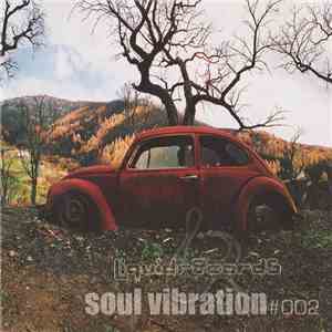 Various - Soul Vibration#002 download flac mp3