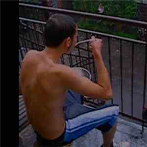 city dragon - dogs dogs download flac mp3