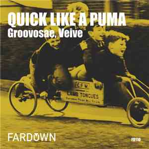 Groovosae, Veive - Quick Like A Puma download flac mp3