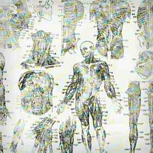 Heartbeat(s) - Home Remedies download flac mp3