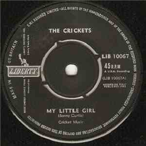 The Crickets  - My Little Girl download flac mp3