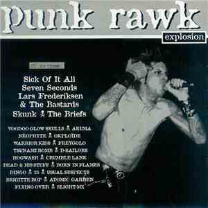 Various - Punk Rawk Explosion #17 flac mp3 download