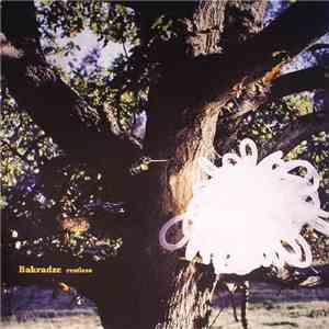 Bakradze - Restless download flac mp3