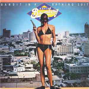 David Bromberg Band - Bandit In A Bathing Suit download flac mp3