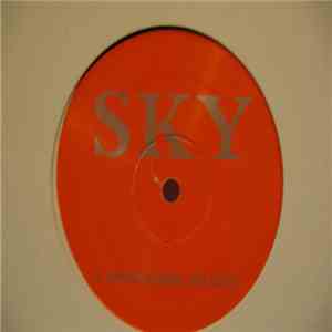DJ Sky  - When U Wish download flac mp3