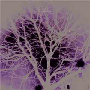 Lovesliescrushing - Shiny Tiny Stars download flac mp3