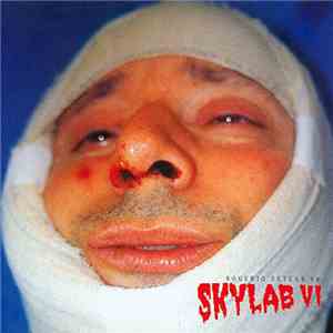 Rogério Skylab - Rogério Skylab Em Skylab VI download flac mp3