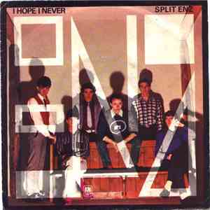Split Enz - I Hope I Never download flac mp3
