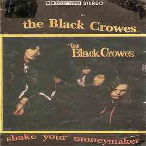 The Black Crowes - Shake Your Moneymaker download flac mp3