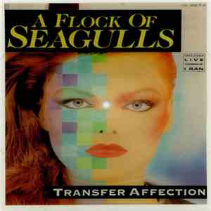 A Flock Of Seagulls - Transfer Affection download flac mp3
