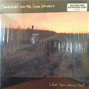 Crankshaft And The Gear Grinders - What You Gonna Do? download flac mp3