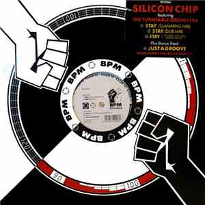Silicon Chip - Stay download flac mp3