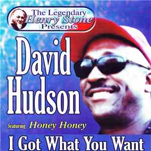 David Hudson  - I Got What You Want flac mp3 download