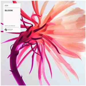 EDX - Bloom download flac mp3