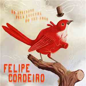 Felipe Cordeiro - Se Apaixone Pela Loucura Do Seu Amor download flac mp3