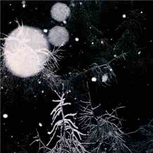 Over The Voids... - Over the Voids download flac mp3