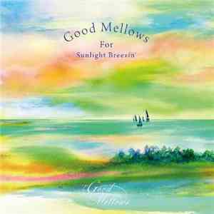 Toru Hashimoto - Good Mellows For Sunlight Breezin' EP download flac mp3