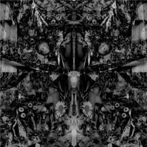 Aidan Baker - Songs Of Flowers & Skin flac mp3 download
