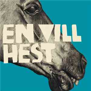 Casiokids - En Vill Hest download flac mp3