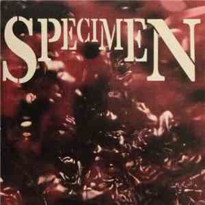 Specimen  - Specimen download flac mp3