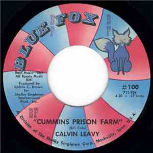 Calvin Leavy - Cummins Prison Farm / Brought You To The City download flac mp3
