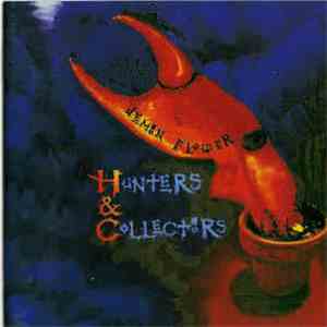 Hunters & Collectors - Demon Flower download flac mp3