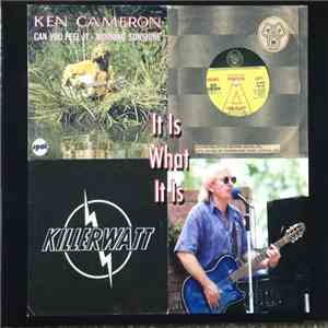 Ken Cameron - It is what it is download flac mp3