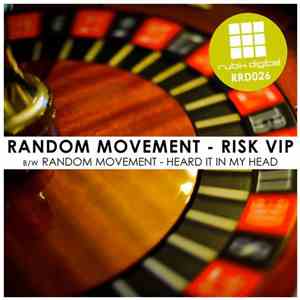 Random Movement - Risk VIP / Heard It In My Head download flac mp3