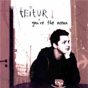 Teitur - You're The Ocean download flac mp3