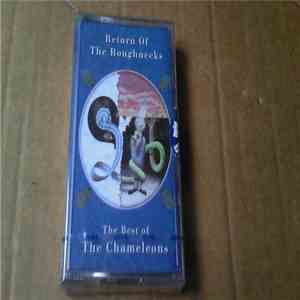 The Chameleons - Return Of The Roughnecks - The Best Of The Chameleons download flac mp3