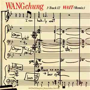 WANGchung - Wait (Remix) download flac mp3
