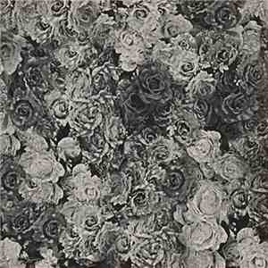 City And Colour - Covers, Pt. 1 download flac mp3