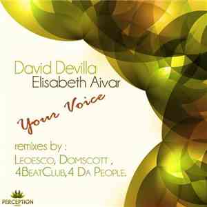 David Devilla & Elisabeth Aivar - Your Voice download flac mp3