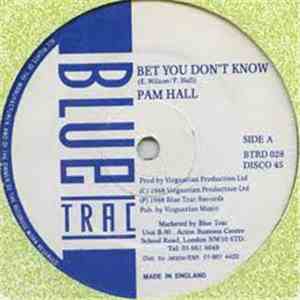 Pam Hall - Bet You Don't Know download flac mp3