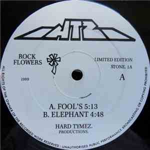 Rock Flowers  - Fool's / Elephant download flac mp3