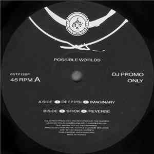 The Shamen - Possible Worlds download flac mp3