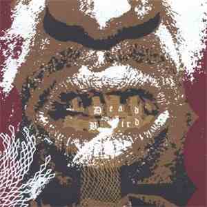 Dead/Bird - Lounging Between Two Pillars Of Ivory download flac mp3