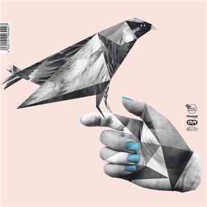 Electric Blanket  - I Never Ate That Bird download flac mp3