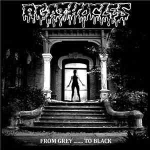 Agathocles - From Grey ....... To Black download flac mp3