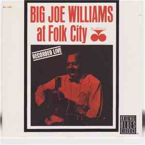 Big Joe Williams - At Folk City download flac mp3