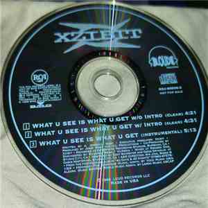 Xzibit - What U See Is What U Get download flac mp3