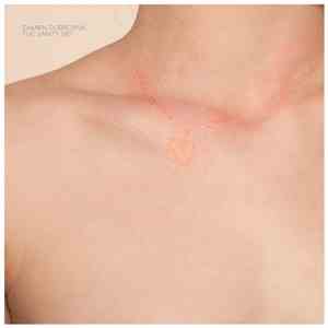 Damien Dubrovnik - The Vanity Set download flac mp3