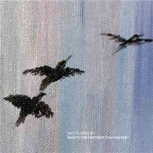 Sky Flying By - What's The Farthest You Can See? download flac mp3