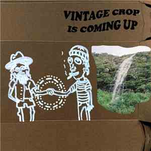 Vintage Crop - Coming Up download flac mp3