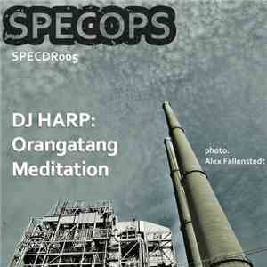 Dj Harp - Orangatang flac mp3 download