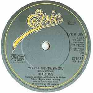 Hi-Gloss - You'll Never Know download flac mp3