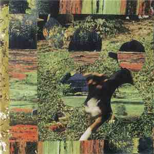 Mark McGuire  - Let Us Be The Way We Were download flac mp3